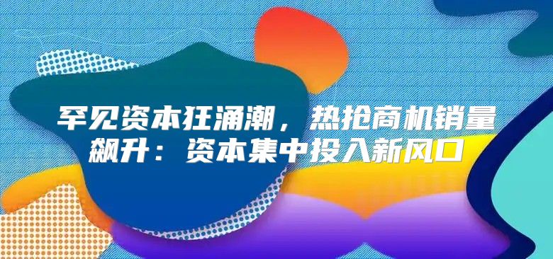 罕见资本狂涌潮，热抢商机销量飙升：资本集中投入新风口