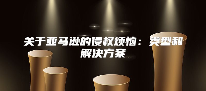 关于亚马逊的侵权烦恼：类型和解决方案