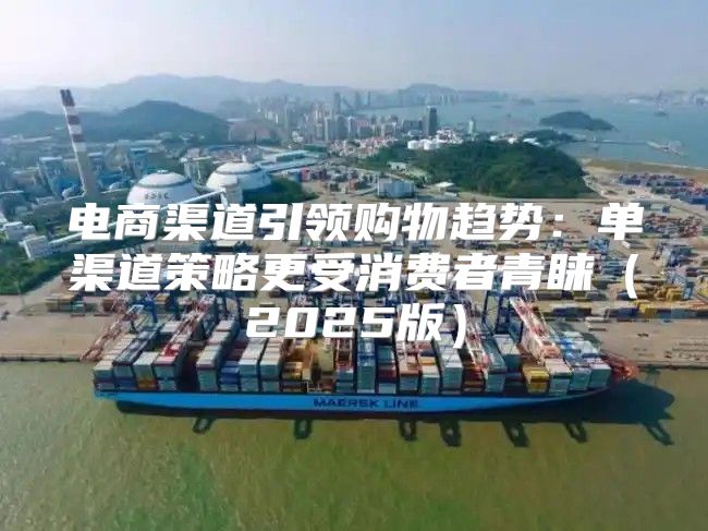电商渠道引领购物趋势：单渠道策略更受消费者青睐2025版