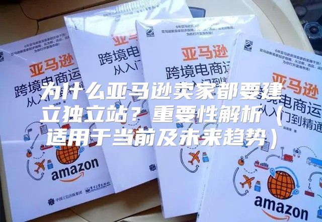 为什么亚马逊卖家都要建立独立站？重要性解析适用于当前及未来趋势