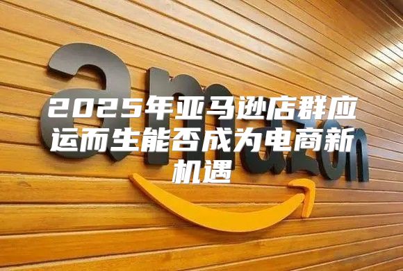 2025年亚马逊店群应运而生能否成为电商新机遇