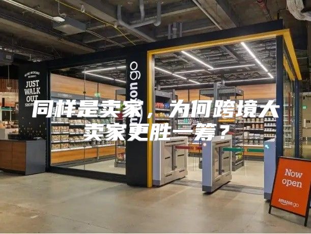 同样是卖家，为何跨境大卖家更胜一筹？