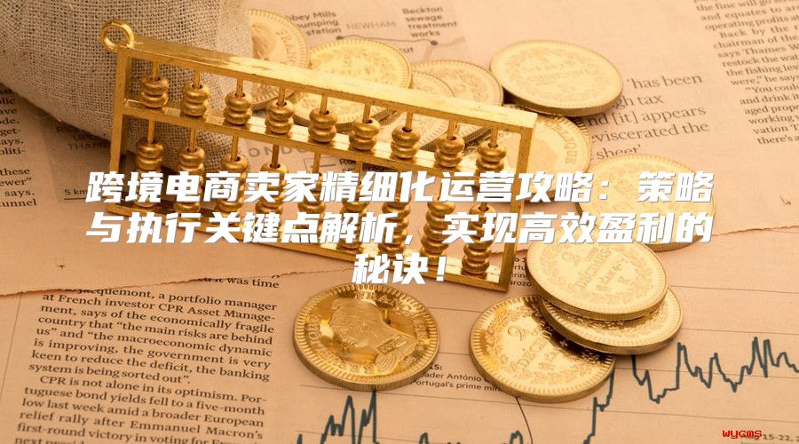 跨境电商卖家精细化运营攻略：策略与执行关键点解析，实现高效盈利的秘诀！