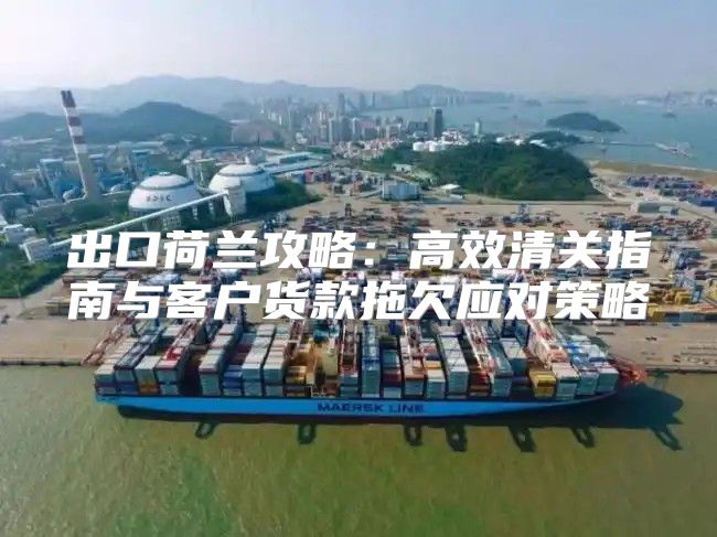 出口荷兰攻略：高效清关指南与客户货款拖欠应对策略