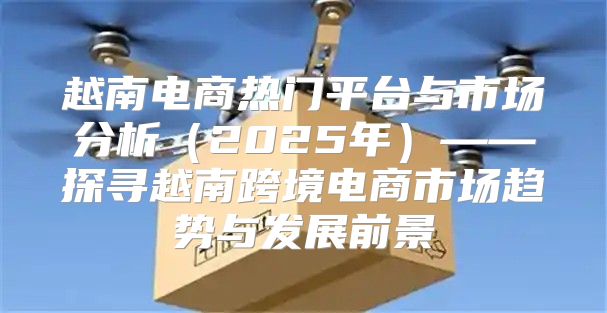 越南电商热门平台与市场分析2025年——探寻越南跨境电商市场趋势与发展前景