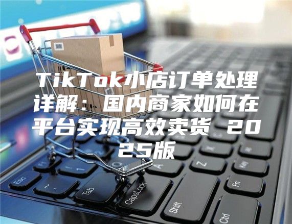 TikTok小店订单处理详解：国内商家如何在平台实现高效卖货 2025版