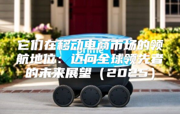 它们在移动电商市场的领航地位：迈向全球领先者的未来展望2025