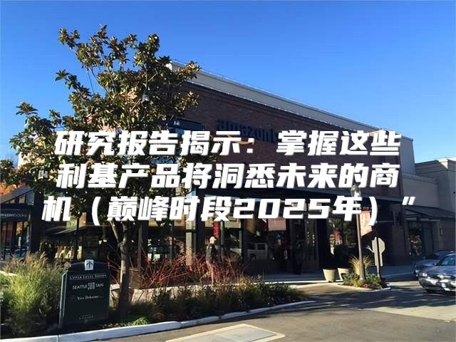 研究报告揭示：掌握这些利基产品将洞悉未来的商机巅峰时段2025年”