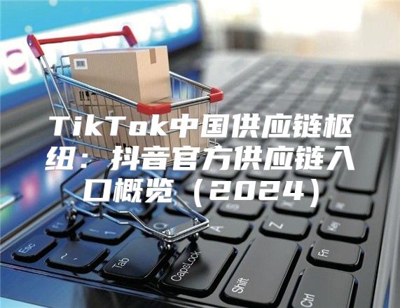 TikTok中国供应链枢纽：抖音官方供应链入口概览2025