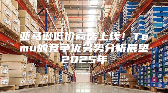 亚马逊低价商店上线！Temu的竞争优劣势分析展望2025年