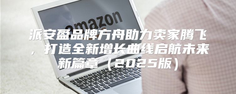 派安盈品牌方舟助力卖家腾飞，打造全新增长曲线启航未来新篇章2025版