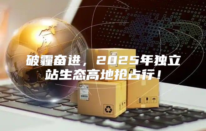 破霾奋进，2025年独立站生态高地抢占行！