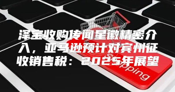 泽宝收购传闻星徽精密介入，亚马逊预计对宾州征收销售税：2025年展望