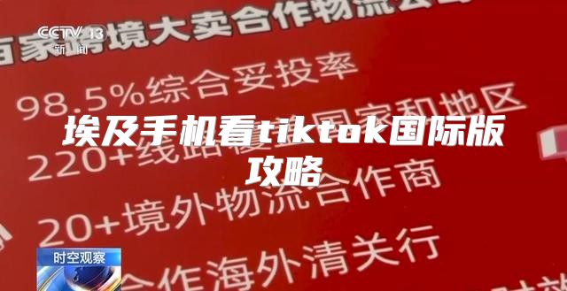 埃及手机看tiktok国际版攻略