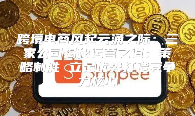 跨境电商风起云涌之际：三家公司揭秘运营之道：策略制胜 立足优势打造竞争力核心