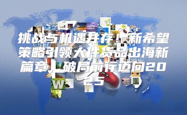 挑战与机遇并存！新希望策略引领大件货品出海新篇章，破局前行迈向2025