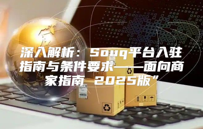 深入解析：Souq平台入驻指南与条件要求——面向商家指南 2025版”