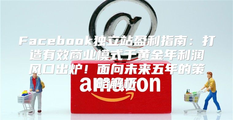 Facebook独立站盈利指南：打造有效商业模式于黄金年利润风口出炉！面向未来五年的策略解析