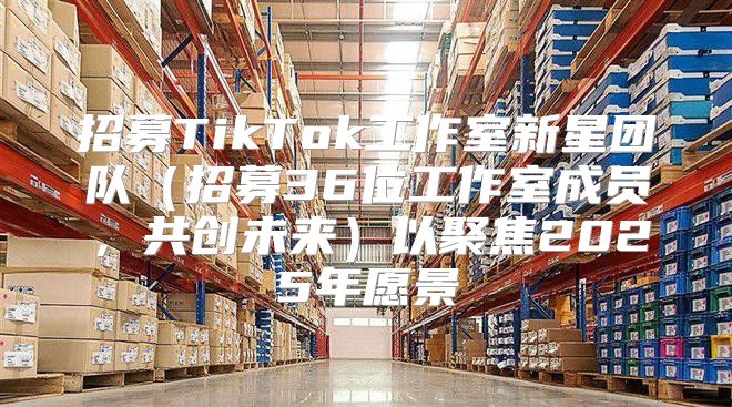 招募TikTok工作室新星团队招募36位工作室成员，共创未来以聚焦2025年愿景