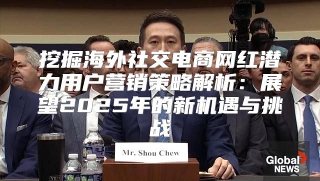 挖掘海外社交电商网红潜力用户营销策略解析：展望2025年的新机遇与挑战