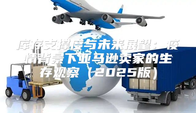 库存支撑度与未来展望：疫情背景下亚马逊卖家的生存观察2025版