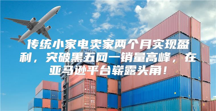 传统小家电卖家两个月实现盈利，突破黑五网一销量高峰，在亚马逊平台崭露头角！