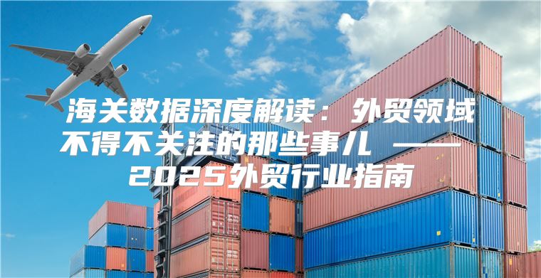 海关数据深度解读：外贸领域不得不关注的那些事儿 —— 2025外贸行业指南