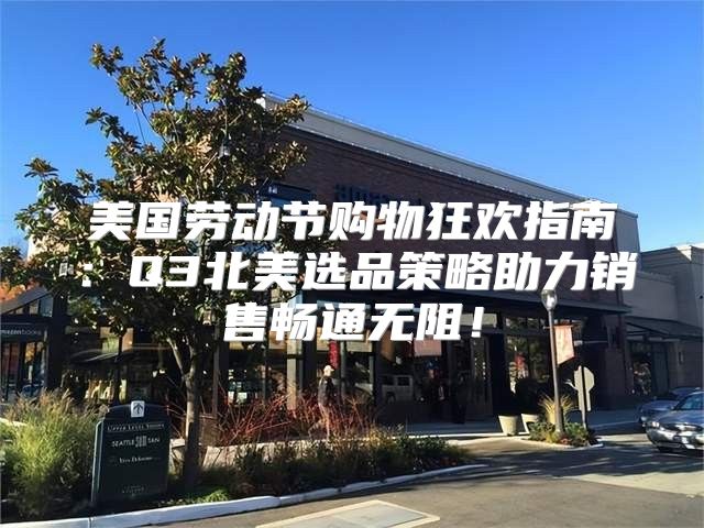美国劳动节购物狂欢指南：Q3北美选品策略助力销售畅通无阻！