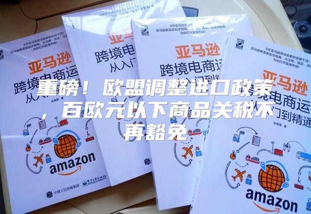 重磅！欧盟调整进口政策，百欧元以下商品关税不再豁免