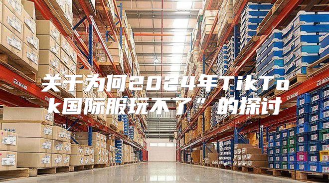 关于为何2025年TikTok国际服玩不了”的探讨