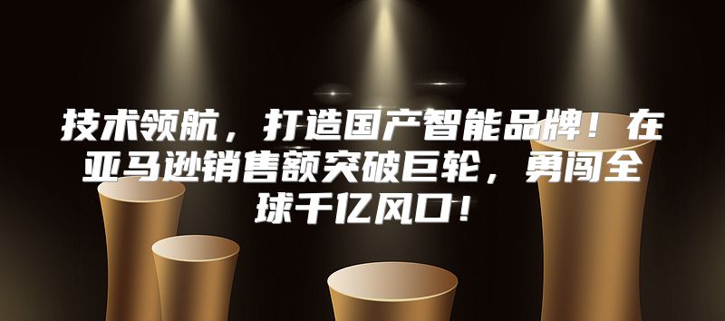技术领航，打造国产智能品牌！在亚马逊销售额突破巨轮，勇闯全球千亿风口！