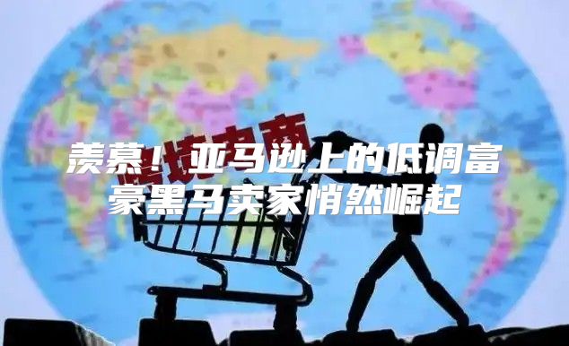 羡慕！亚马逊上的低调富豪黑马卖家悄然崛起