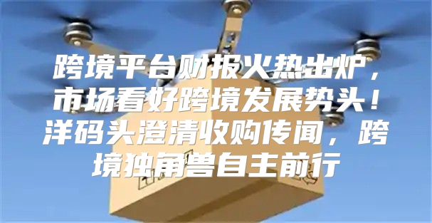 跨境平台财报火热出炉，市场看好跨境发展势头！洋码头澄清收购传闻，跨境独角兽自主前行