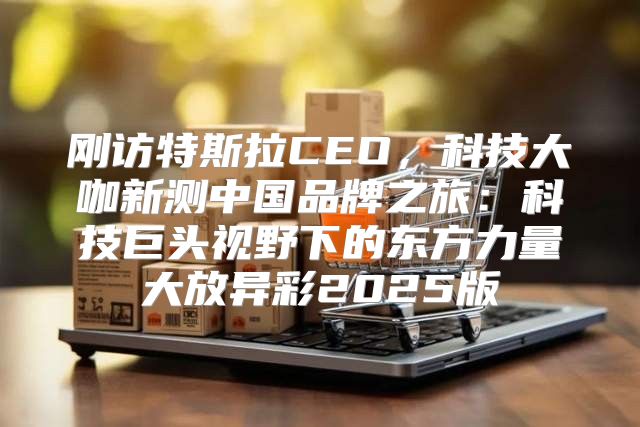 刚访特斯拉CEO，科技大咖新测中国品牌之旅：科技巨头视野下的东方力量大放异彩2025版
