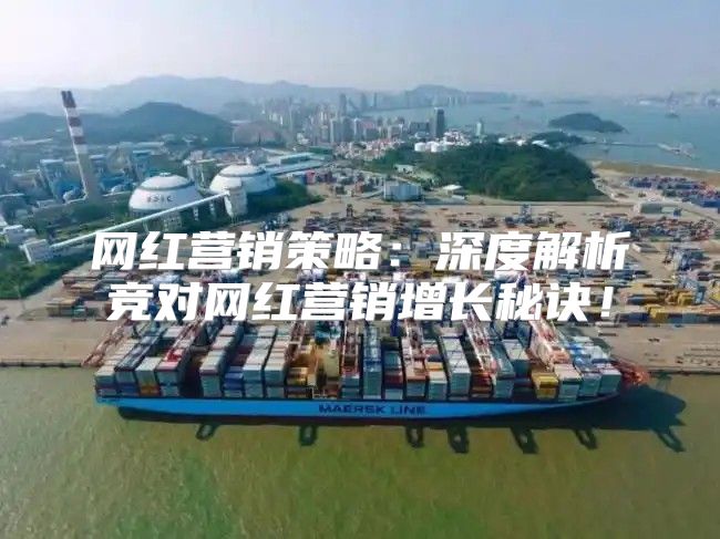 网红营销策略：深度解析竞对网红营销增长秘诀！