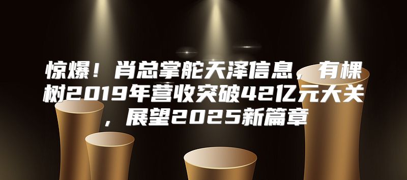 惊爆！肖总掌舵天泽信息，有棵树2019年营收突破42亿元大关，展望2025新篇章