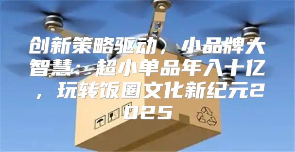创新策略驱动，小品牌大智慧：超小单品年入十亿，玩转饭圈文化新纪元2025