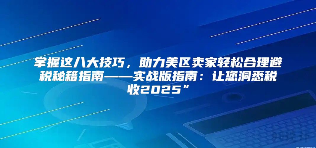 掌握这八大技巧，助力美区卖家轻松合理避税秘籍指南——实战版指南：让您洞悉税收2025”
