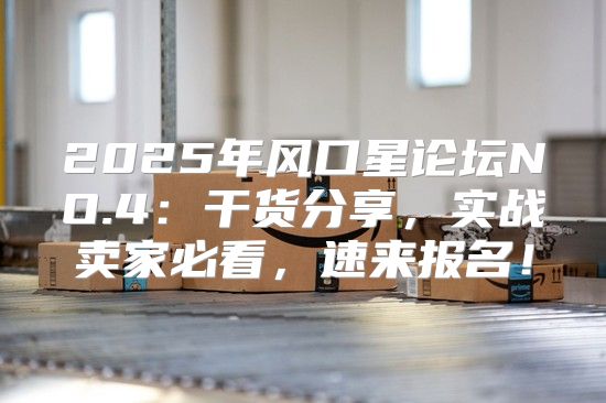2025年风口星论坛NO.4：干货分享，实战卖家必看，速来报名！