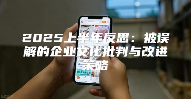 2025上半年反思：被误解的企业文化批判与改进策略