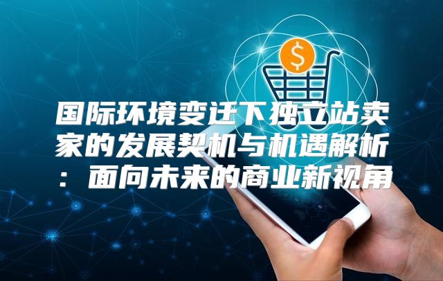 国际环境变迁下独立站卖家的发展契机与机遇解析：面向未来的商业新视角