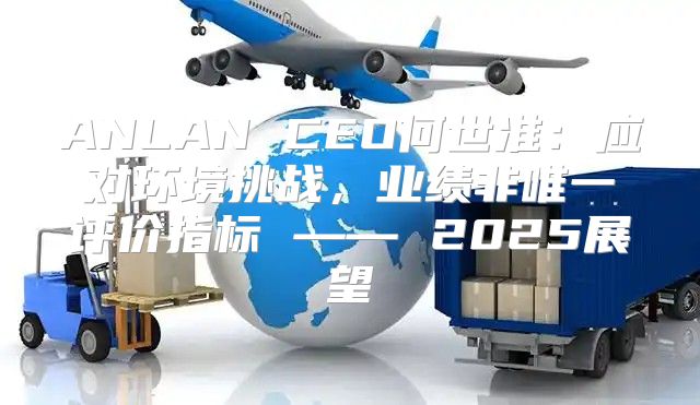 ANLAN CEO何世准：应对环境挑战，业绩非唯一评价指标 —— 2025展望