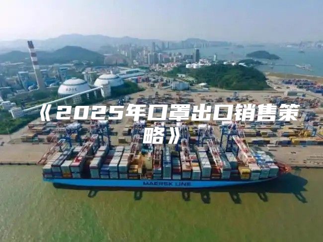 2025年口罩出口销售策略
