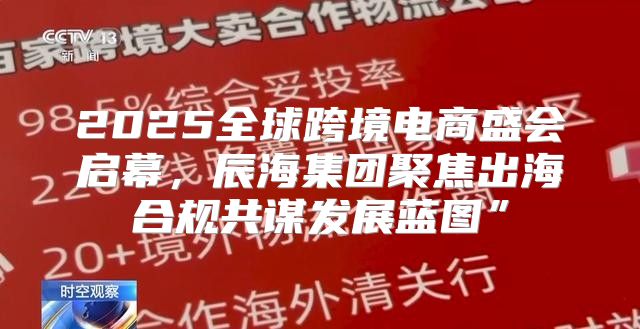 2025全球跨境电商盛会启幕，辰海集团聚焦出海合规共谋发展蓝图”