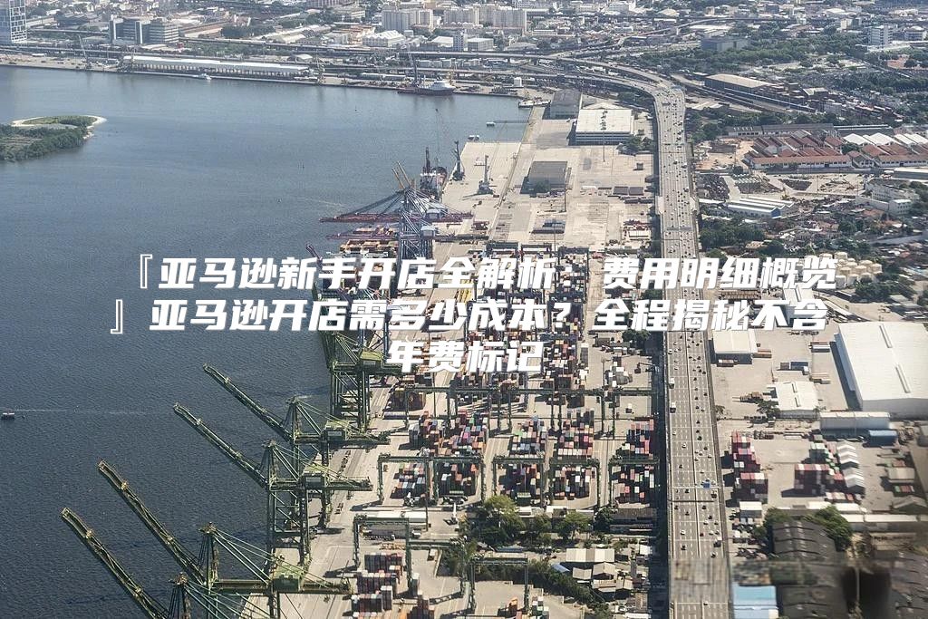 『亚马逊新手开店全解析：费用明细概览』亚马逊开店需多少成本？全程揭秘不含年费标记