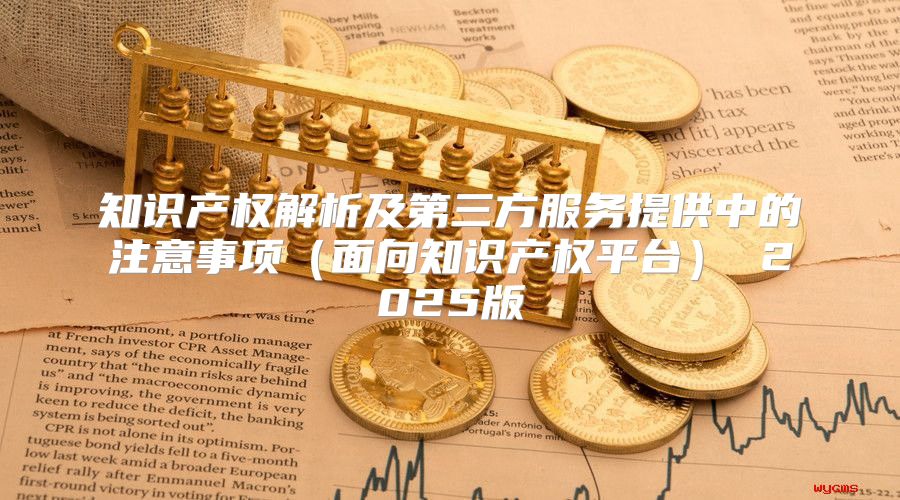 知识产权解析及第三方服务提供中的注意事项面向知识产权平台 2025版