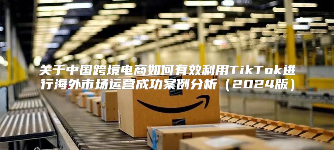 关于中国跨境电商如何有效利用TikTok进行海外市场运营成功案例分析2025版