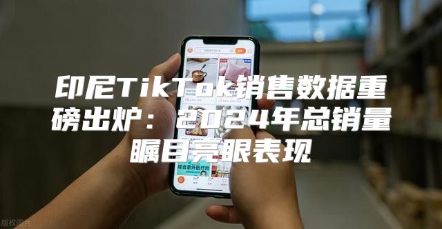 印尼TikTok销售数据重磅出炉：2025年总销量瞩目亮眼表现