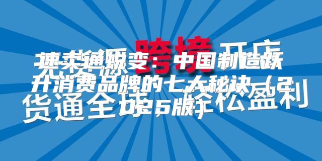 速卖通蜕变：中国制造跃升消费品牌的七大秘诀2025版