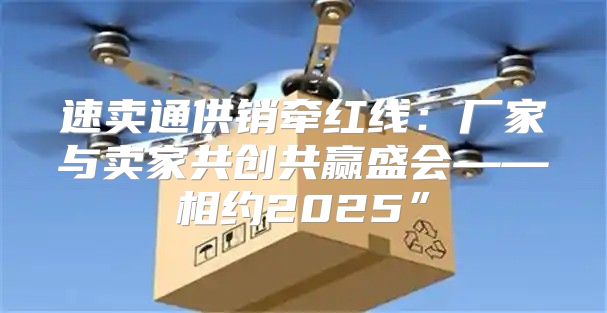 速卖通供销牵红线：厂家与卖家共创共赢盛会——相约2025”